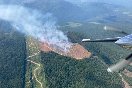 Beavervale Creek fire downgraded - no longer a 'wildfire of note'