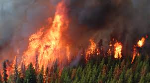 B.C. wildfires: quick statistics