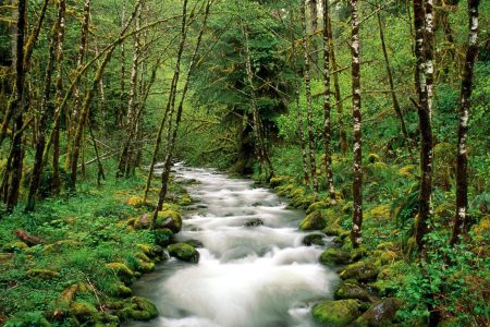 West Kootenay Climate Hub Launches