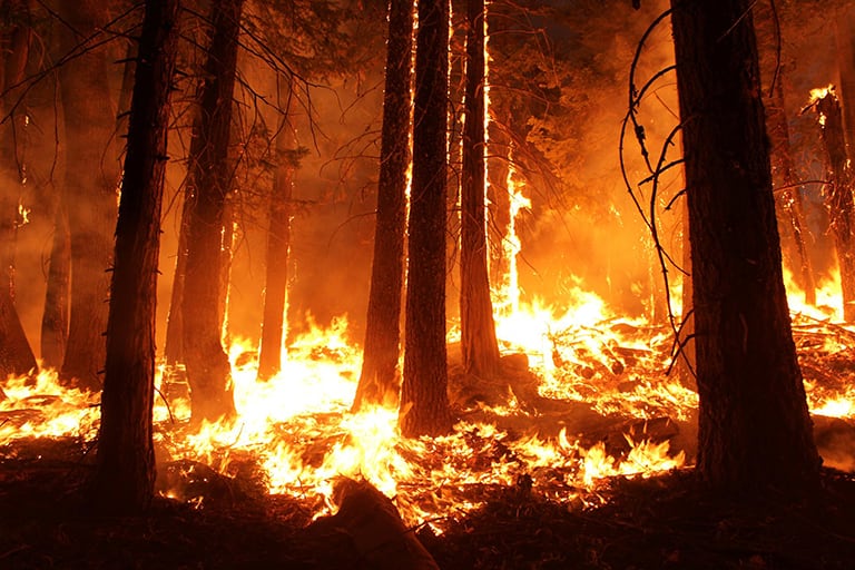 Ecosystem Restoration Burn Planned for Deer Park Mountain Area