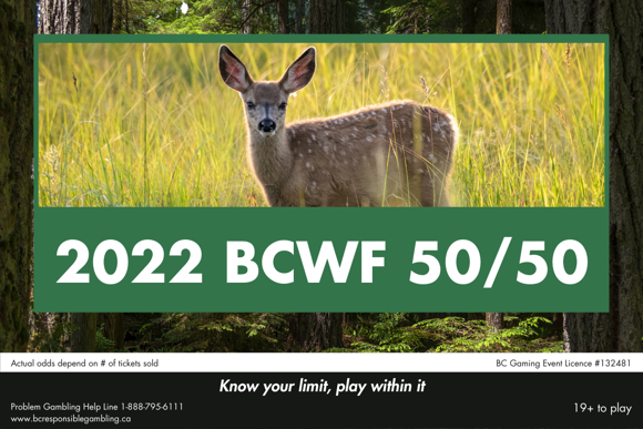 Cougars and cameras and deer, oh my! BCWF holds 50/50 fundraiser