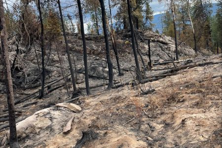 Davidson Brook (Castlegar) Wildfire under control