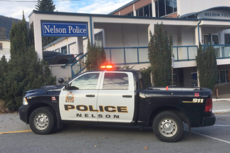 Nelson Police stop chase of alleged stolen pickup truck