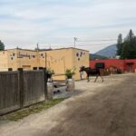 RCMP report moose on the loose in downtown Rossland