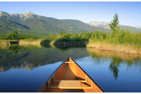 Newsletter from MLA Morisette