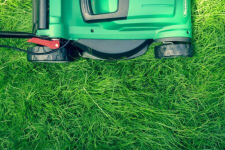 Don’t mow the lawn: Expert advises on how to protect your grass during a heatwave