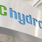 BC Hydro’s most memorable outages 2025:  Buzzing bugs, slippery fish, and a flying Godzilla