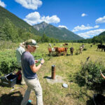 Groundwater Report Flags At-Risk Aquifers, Monitoring Gaps in the Columbia Basin