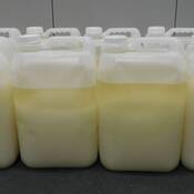 Joint investigation leads to arrests in transnational drug exportation case