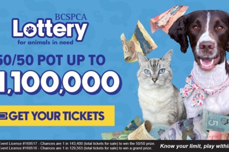 BC SPCA Lottery back with biggest spring 50/50 yet - up to $1,100,000