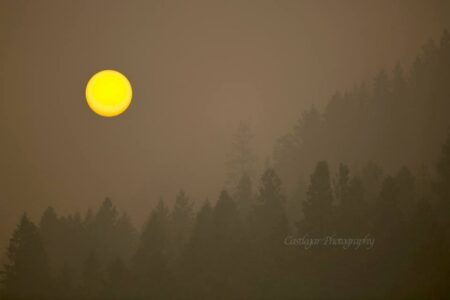 Hot weather could push B.C. to a new summer electricity demand record
