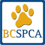 BC SPCA reports voters overwhelmingly believe animal control enforcement is important for community public safety